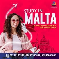 Visa Success