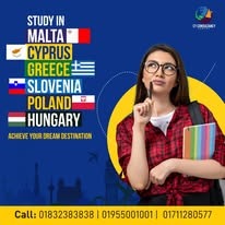 Visa Success